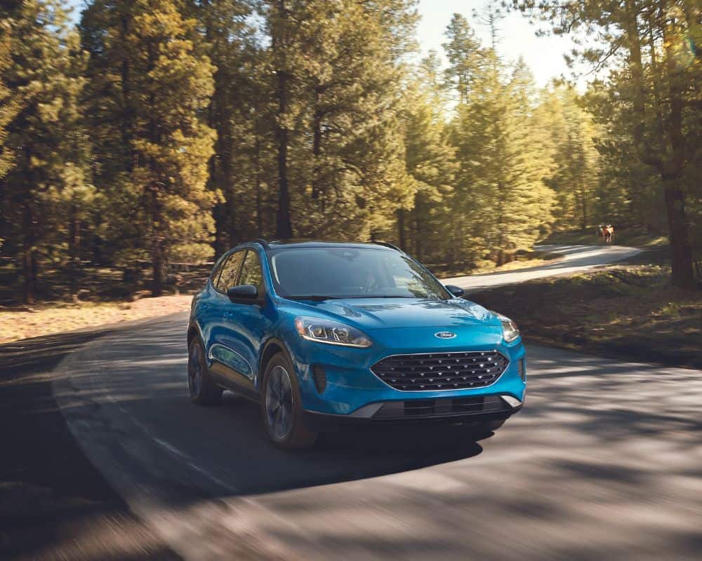 Light Blue Ford Escape